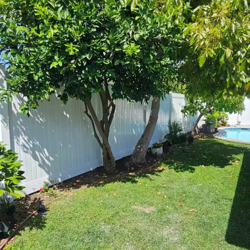 White Vinyl Privacy Fence Installation In Santa Monica